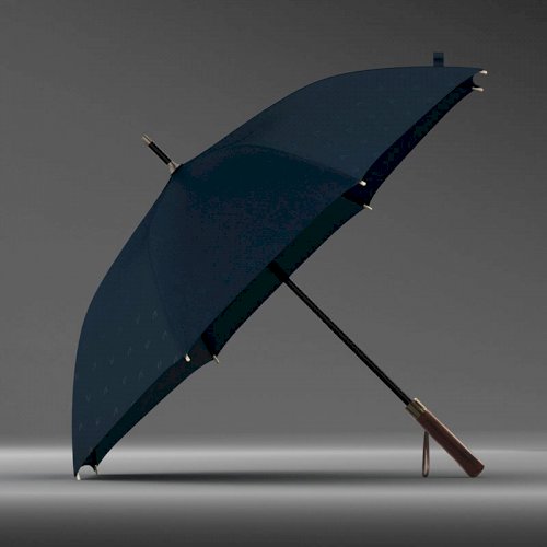 OLYCAT Umbrella Storm