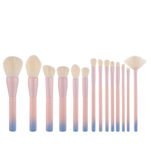Gradient Color Pro 14pcs Makeup Brushes Set Wood Handle