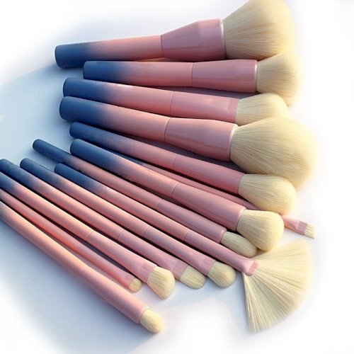 Gradient Color Pro 14pcs Makeup Brushes Set Wood Handle