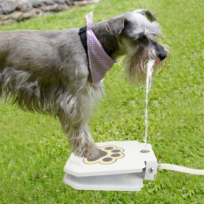 Pet Drinking Fountain Automatic Feeder Pressure Pedal